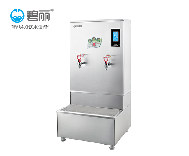 碧丽节能幼儿园开水器供应商