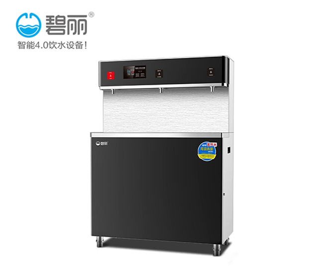 碧丽节能工厂开水器供应厂家