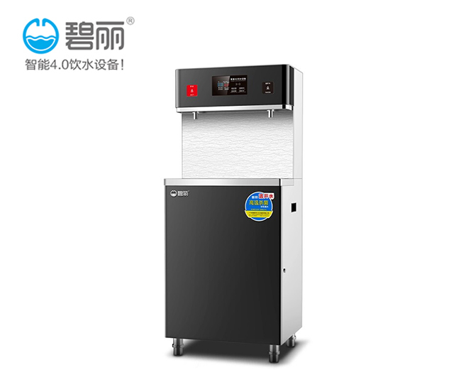 碧丽节能幼儿园开水器供应厂家