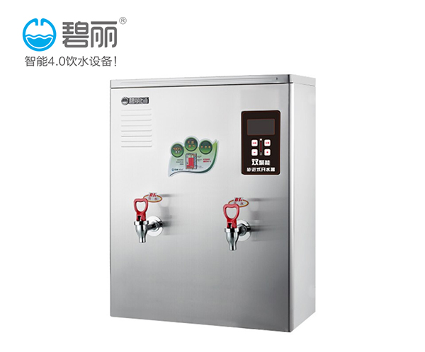 碧丽节能幼儿园饮水机生产厂家