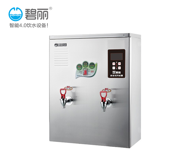 碧丽节能幼儿园开水器供应商