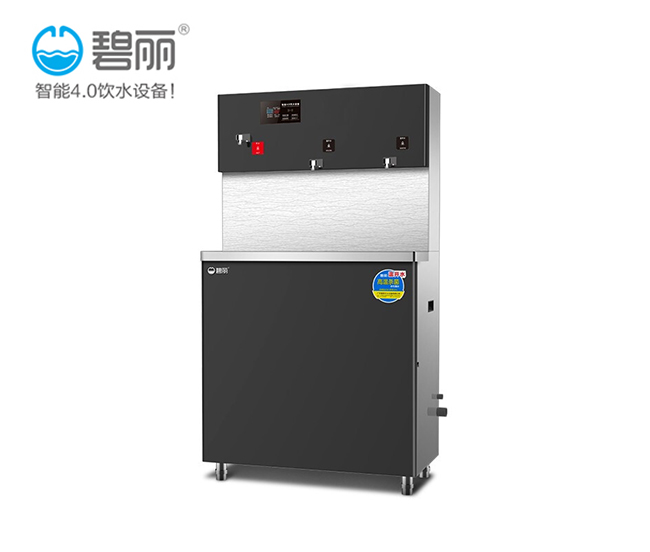 碧丽节能学校直饮水机供应厂家
