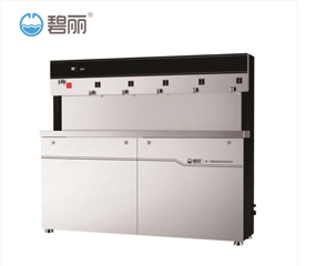 碧丽节能工厂直饮水机供应厂家