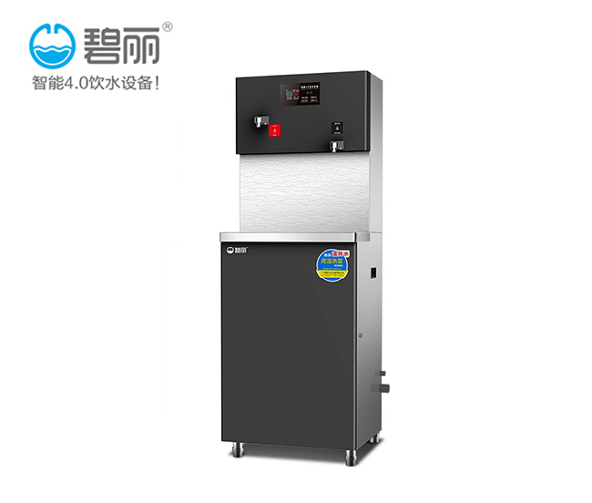 碧丽节能幼儿园直饮水机供应厂家