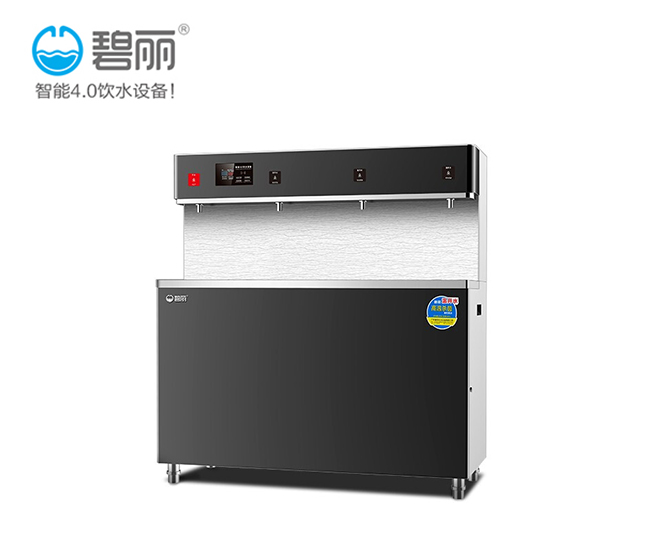 碧丽节能学校开水器供应厂家